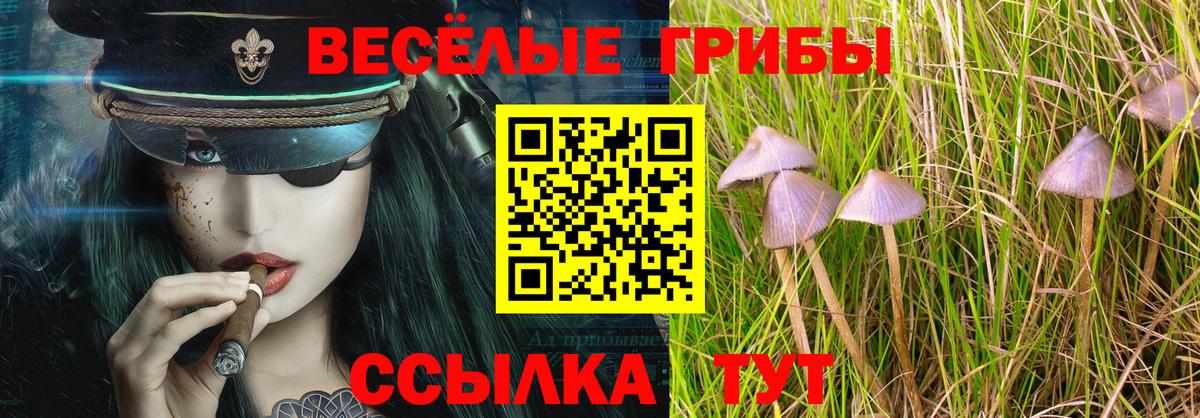 Псилоцибиновые грибы MAGIC MUSHROOMS  Вход с VPN  цена наркотик  Новокубанск 