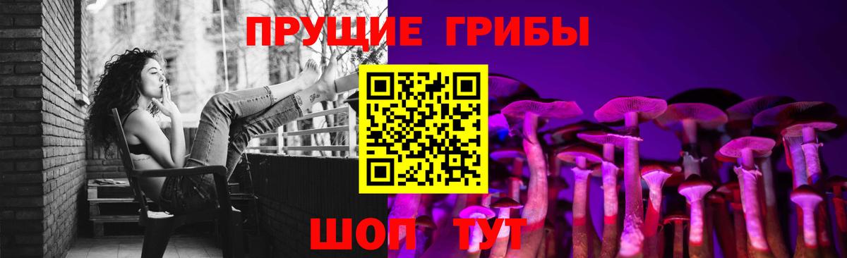 Псилоцибиновые грибы GOLDEN TEACHER Новокубанск